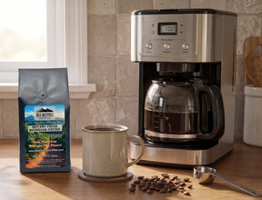 Instant Focus Mushroom Coffee | Functional Mushroom Coffee